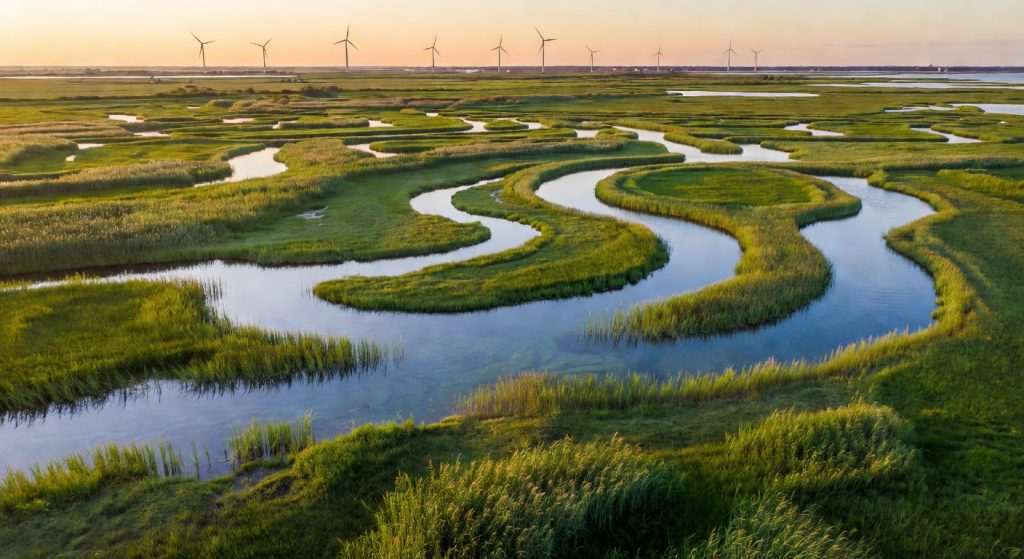 EU Green Deal at a Crossroads: €103 Million in LIFE Funding and the Battle Over 2026 Climate Rules