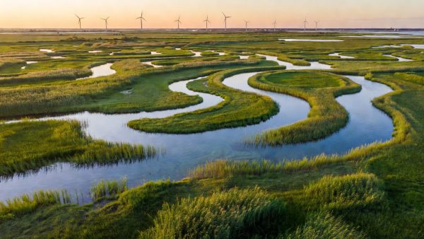EU Green Deal at a Crossroads: €103 Million in LIFE Funding and the Battle Over 2026 Climate Rules