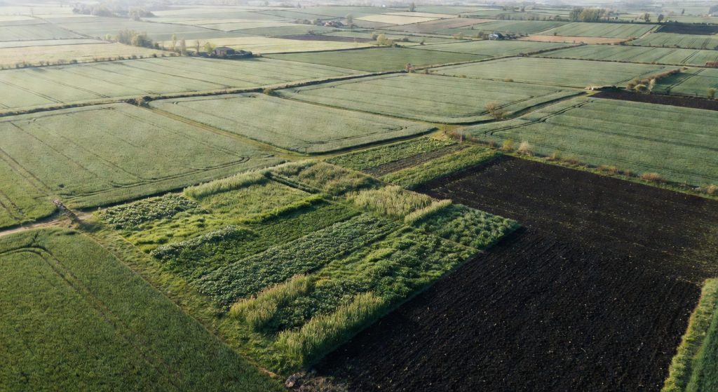 Carbon Farming and Smarter Chemistry: Europe's Agriculture Stands at a Turning Point