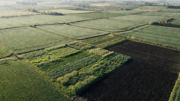 Carbon Farming and Smarter Chemistry: Europe's Agriculture Stands at a Turning Point