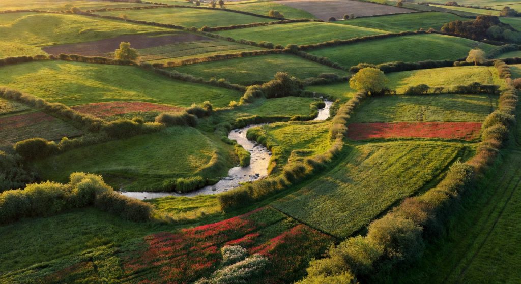 Regenerative Agriculture Goes Mainstream: Co-Investments, Carbon Markets, and the Fight to Fix Our Food Systems