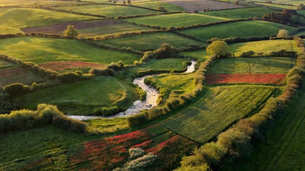 Regenerative Agriculture Goes Mainstream: Co-Investments, Carbon Markets, and the Fight to Fix Our Food Systems