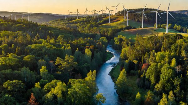 EU Climate Law Updated, Shipping Tax Stalls, and US States Hold the Line: What's Shifting in Environmental Policy
