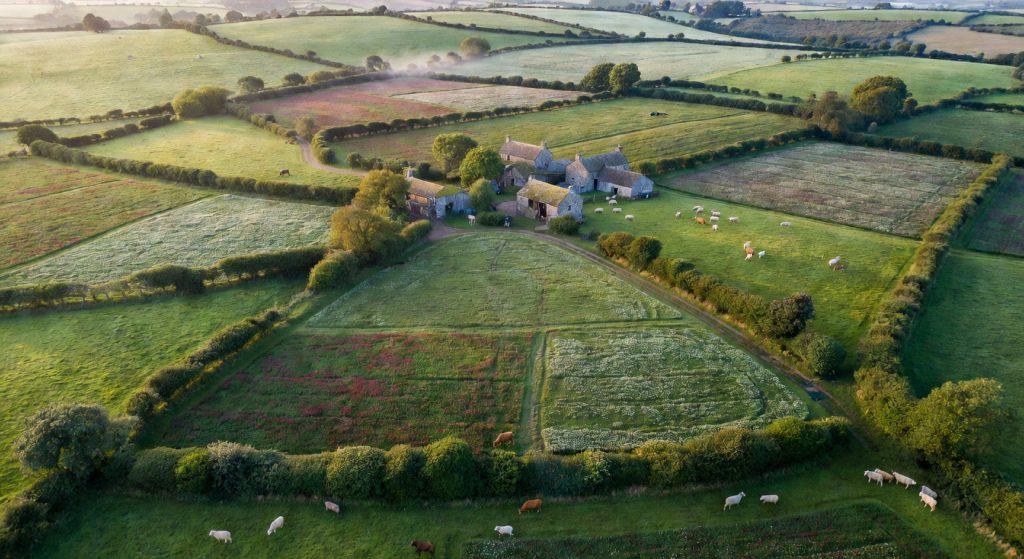 Regenerative Farming Could Save the UK £150bn — And Europe Is Watching Closely