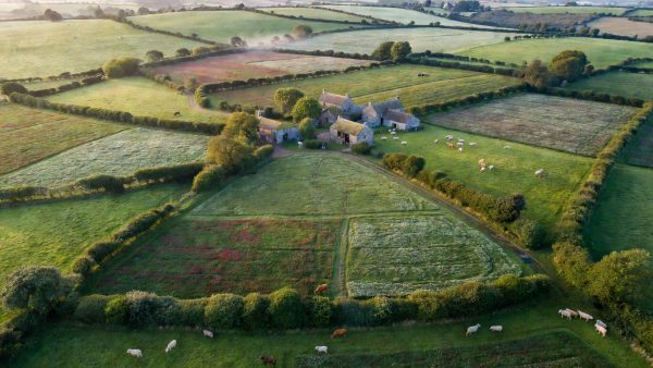 Regenerative Farming Could Save the UK £150bn — And Europe Is Watching Closely