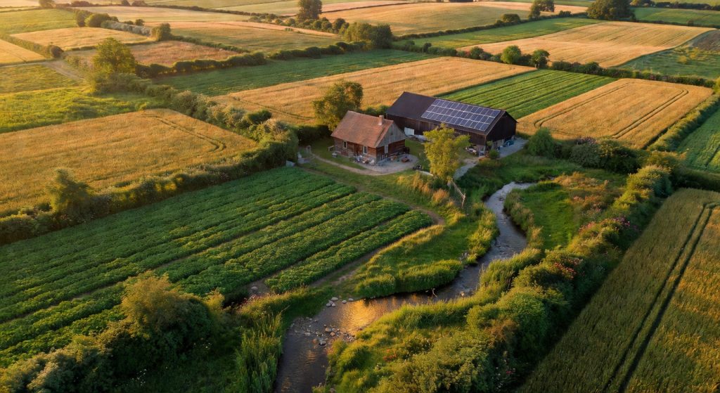 US Biofuel Policy and Regenerative Agriculture: What the 2026 Shifts Mean for Global Food Systems