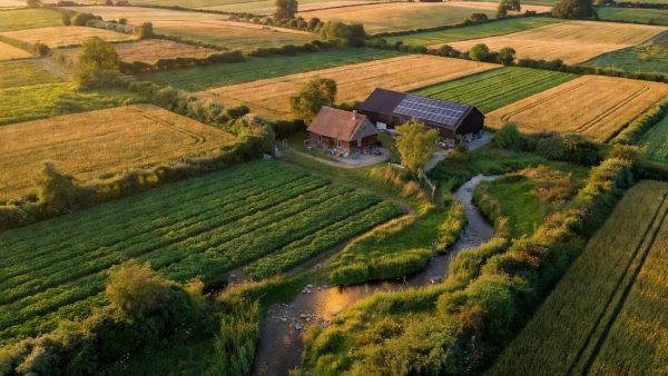 US Biofuel Policy and Regenerative Agriculture: What the 2026 Shifts Mean for Global Food Systems