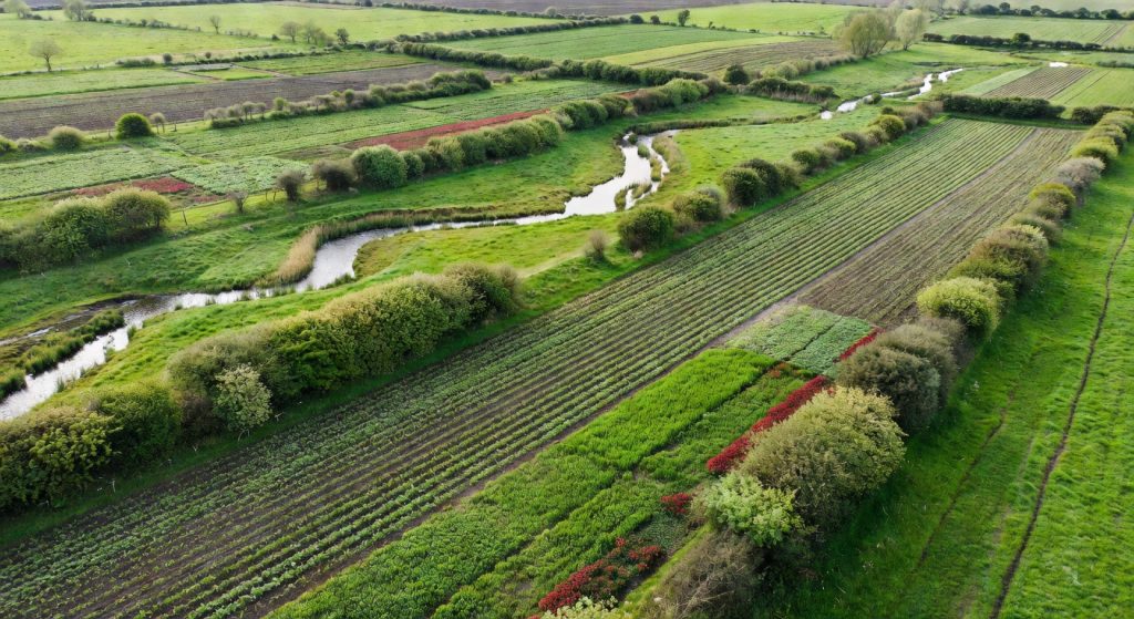 Regenerative Agriculture Meets Corporate Supply Chains: A New Model for Scope 3 Emissions