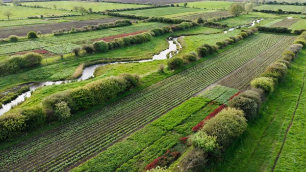 Regenerative Agriculture Meets Corporate Supply Chains: A New Model for Scope 3 Emissions