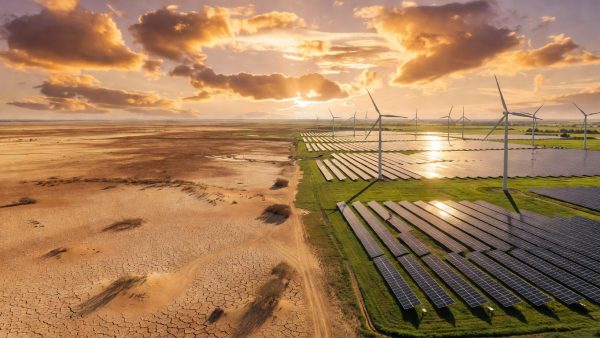 Hottest Decade on Record: What the UN WMO Report Means for Climate Policy in 2026