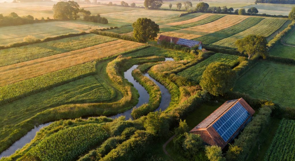 The 2026 Farm Bill and the Future of Sustainable Agriculture: What's at Stake Beyond US Borders