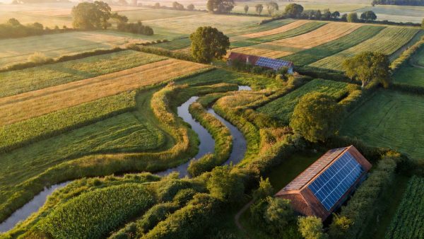 The 2026 Farm Bill and the Future of Sustainable Agriculture: What's at Stake Beyond US Borders
