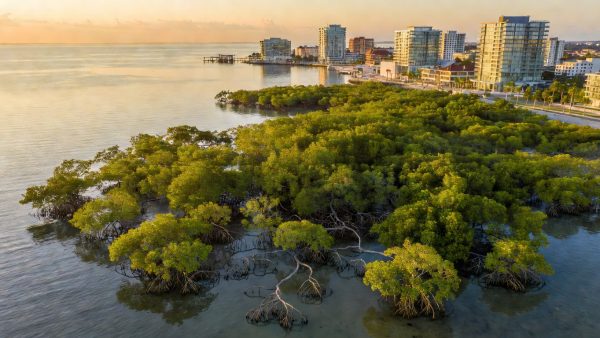 Climate Imbalance at Record Levels: Why Sustainability and ESG Must Deliver Real Results in 2026