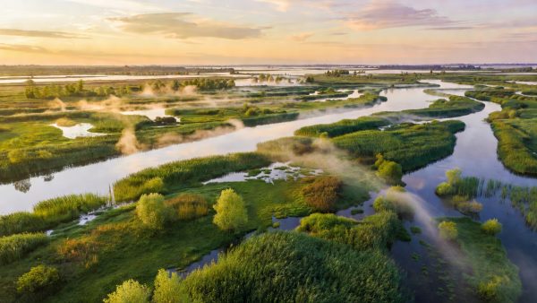 WMO 2026 Climate Report: Earth's Energy Balance Is Broken — and the Window to Act Is Narrowing