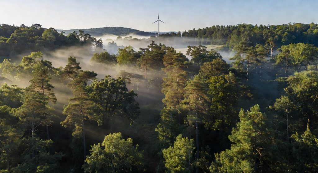EU ETS Reform, Corporate Carbon Deals, and Microplastic Rain: The Week That Defined Sustainability in 2026