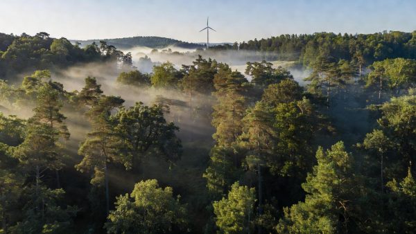 EU ETS Reform, Corporate Carbon Deals, and Microplastic Rain: The Week That Defined Sustainability in 2026