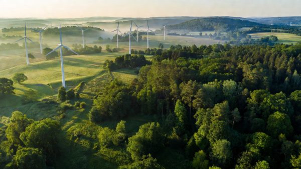 EU Environmental Omnibus: Simplification or Step Back for Climate and Biodiversity Goals?