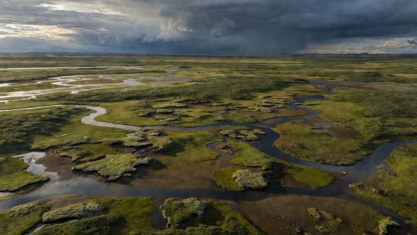 El Niño, Permafrost, and a 2.5°C Future: What the Latest Climate Data Means for Europe and the World