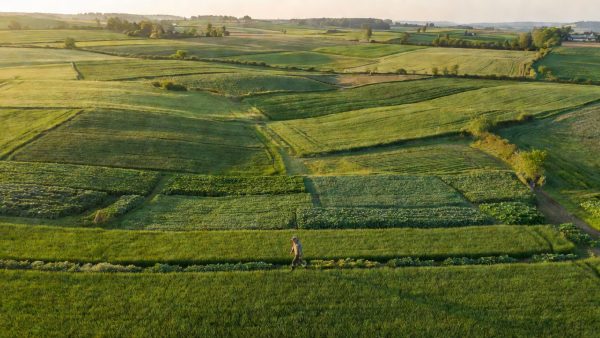 AI, Biofuels, and Surplus Cows: How Agri-Food Supply Chains Are Being Reinvented
