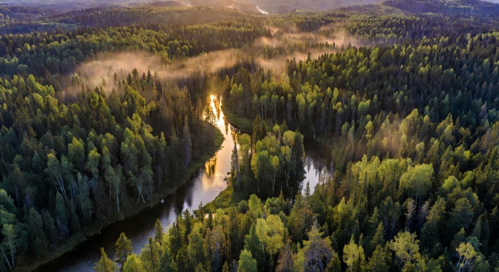 Microsoft's 626,000-Ton Carbon Deal and the Week's Biggest ESG Shifts Shaping Corporate Sustainability