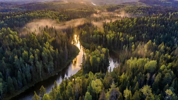 Microsoft's 626,000-Ton Carbon Deal and the Week's Biggest ESG Shifts Shaping Corporate Sustainability