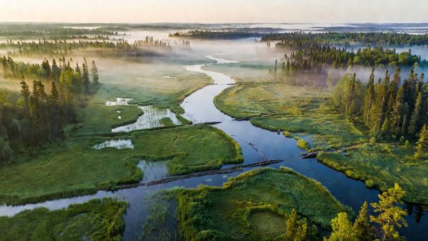 From Sewage Sludge to Open Air: The Hidden Toxic Threat You've Never Heard Of