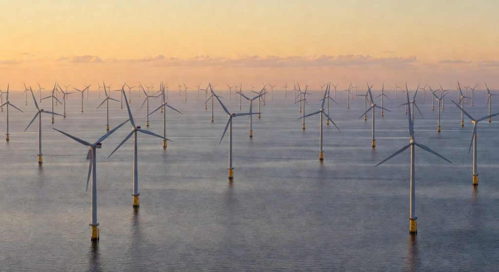 Net-Zero Under Pressure: What TotalEnergies' Retreat Means for Corporate Sustainability in Europe