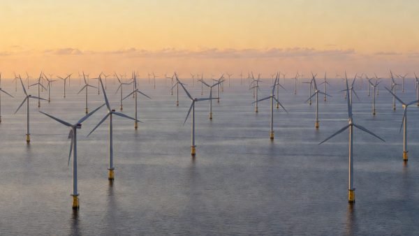 Net-Zero Under Pressure: What TotalEnergies' Retreat Means for Corporate Sustainability in Europe