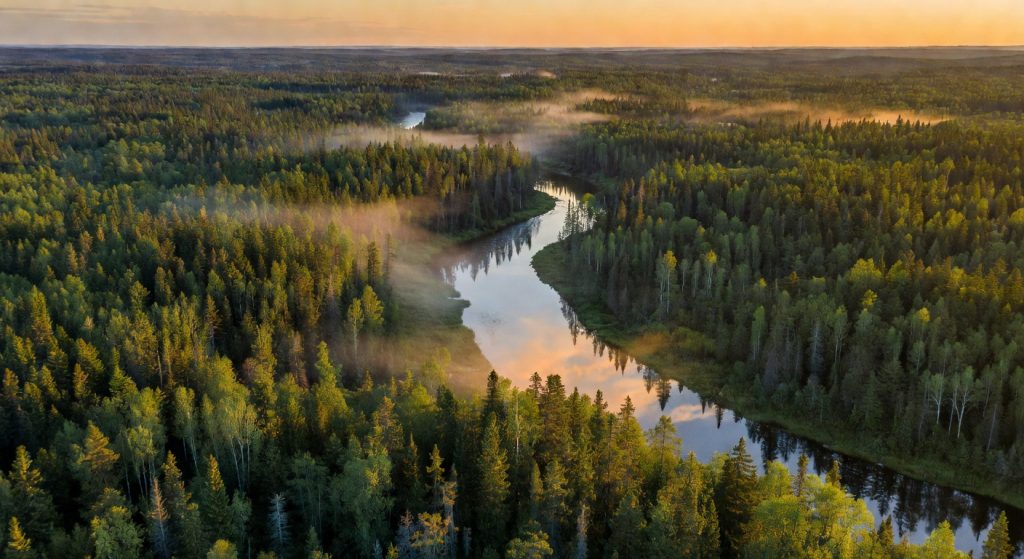 Carbon Removal, Circular Fashion, and EPA Cuts: What This Week's ESG News Means for the Planet