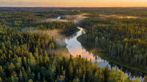 Carbon Removal, Circular Fashion, and EPA Cuts: What This Week's ESG News Means for the Planet