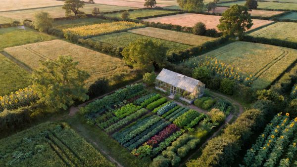 Europe's Food Systems at a Crossroads: Policy Retreat Meets a Booming Plant-Based Market