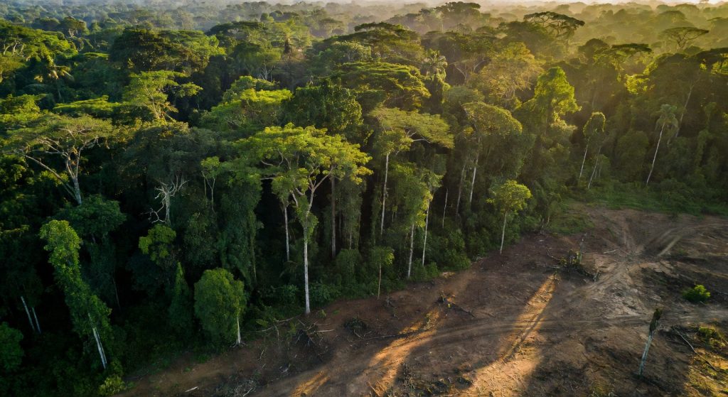 Africa's Forests Are Now Emitting Carbon: What It Means for ESG and Climate Finance