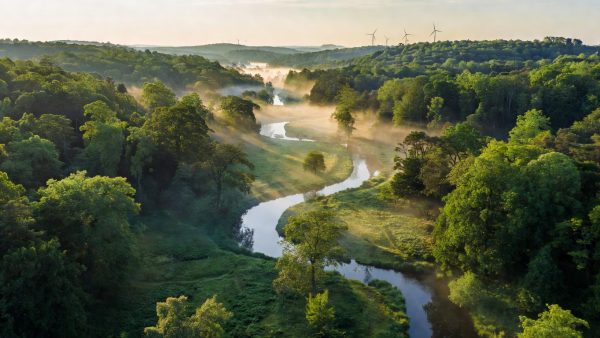 EU Green Deal in 2025: Where Carbon Markets, Deforestation Rules, and Sustainability Reporting Stand Today