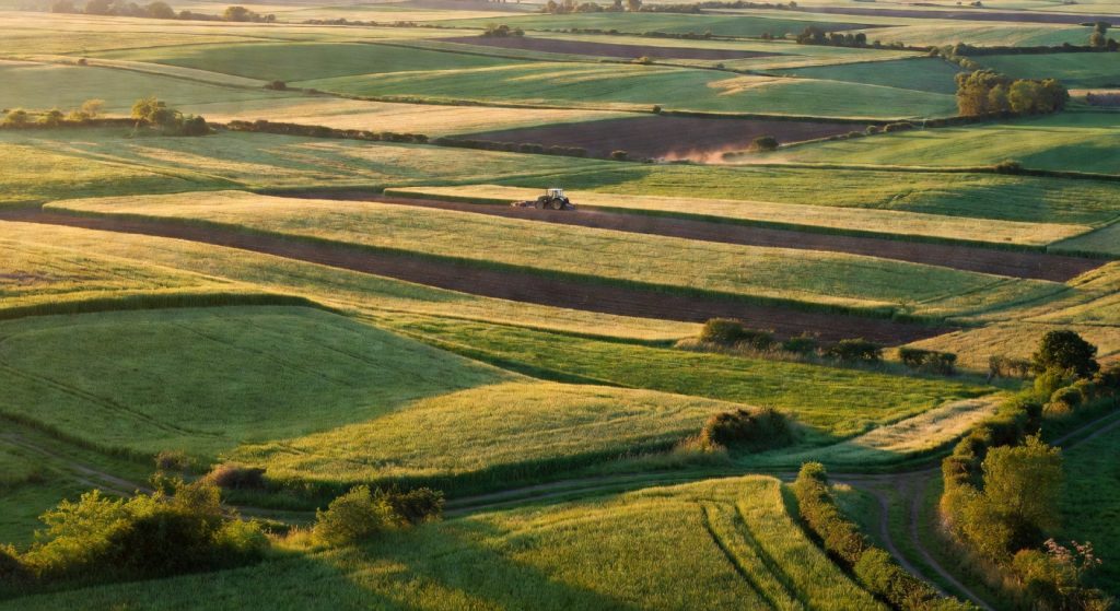 Fertilizer Prices Surge 40% as Iran Conflict Disrupts Global Food Supply Chains