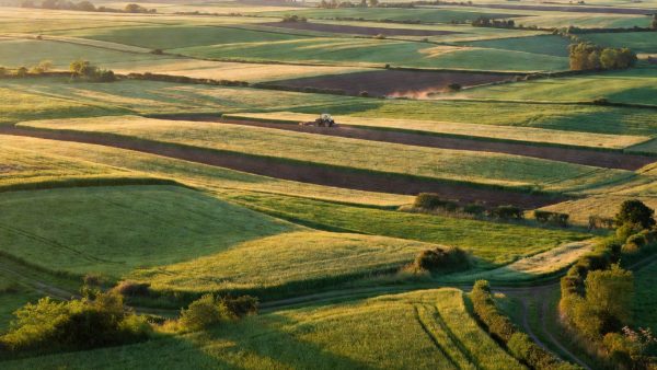 Fertilizer Prices Surge 40% as Iran Conflict Disrupts Global Food Supply Chains