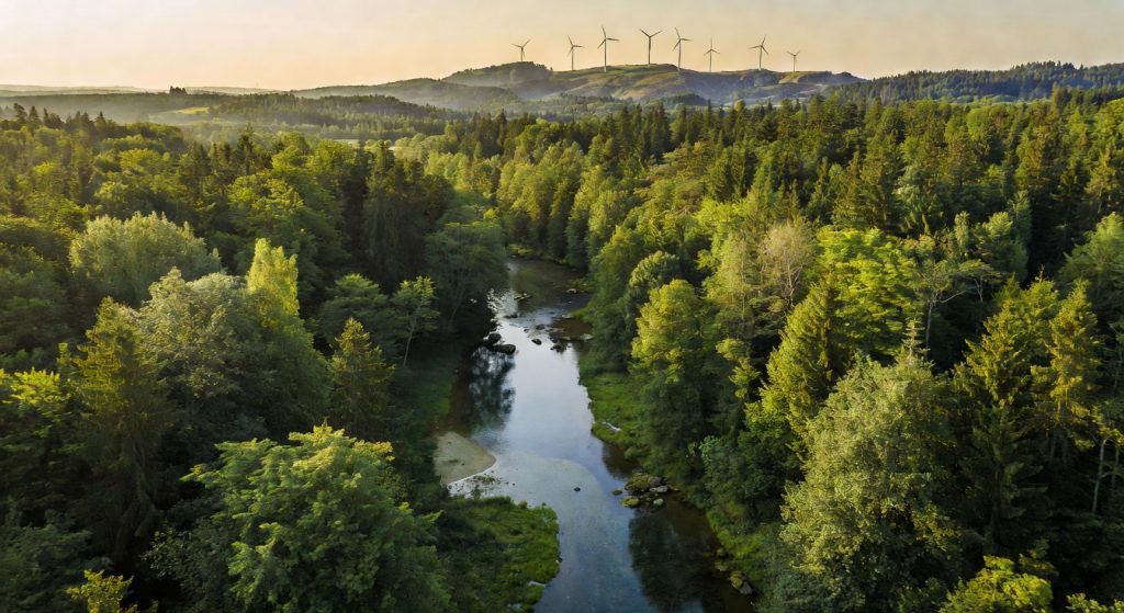 EU Backs €5 Billion Carbon Removal Push as Sustainable Finance Hits a New Stride