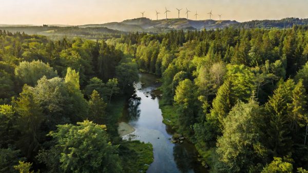 EU Backs €5 Billion Carbon Removal Push as Sustainable Finance Hits a New Stride