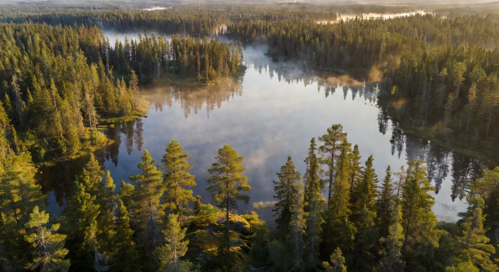 Mining, Methane, and Melting Protections: The Week That Tested Environmental Policy