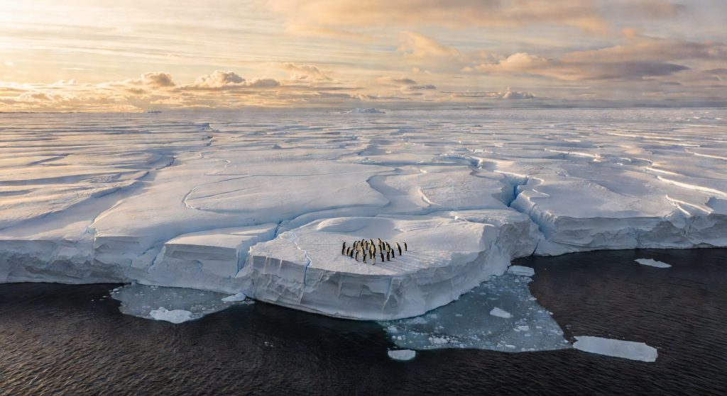 2025 Climate Report: Record Heat, Endangered Penguins, and the Emissions Gap We Cannot Ignore