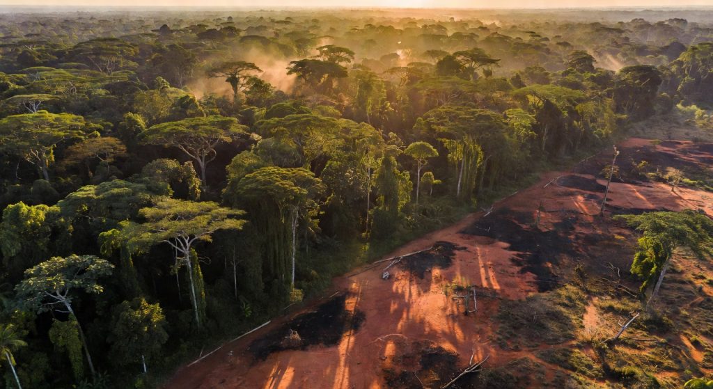 Africa's Forests Are Now Carbon Emitters: What This Means for Global Climate Targets