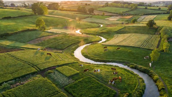 Banks Are Ignoring Methane From Meat and Dairy — And It's Undermining Climate Finance