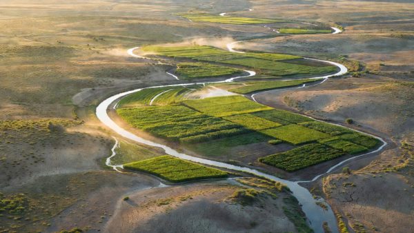 Groundwater Mandates, Ad Bans, and Soil Batteries: How ESG Accountability Is Being Rewritten in 2025