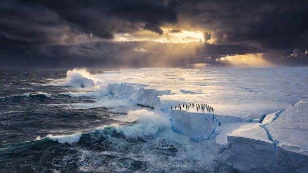 Climate Crisis in 2025: Melting Ice, Endangered Penguins, and the AI Pollution Problem