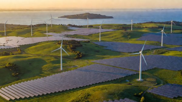 Wind, Solar, and Regulation: How the U.S. Clean Energy Surge Is Reshaping Global Energy Policy