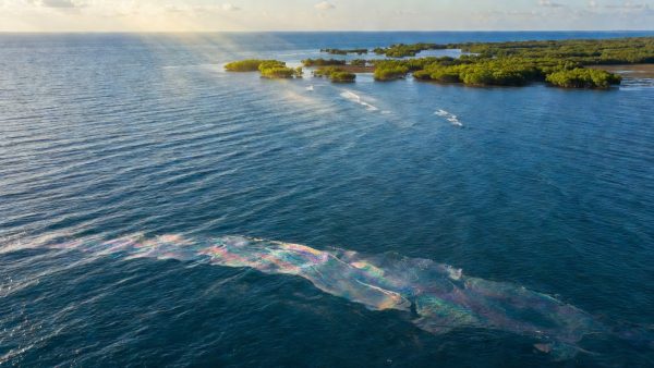 ESG at a Crossroads: Corporate Sustainability Gains Ground While an Oil Slick Threatens the Persian Gulf
