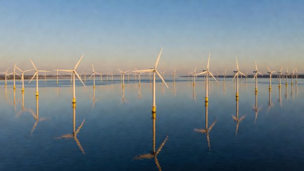 Renewables Are Overtaking Coal: What the 2025 Energy Milestone Means for Europe and Beyond
