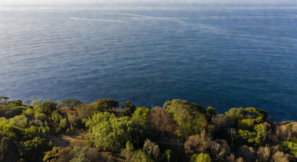 Oceans Are Warming Faster Than Ever — And Earth's Natural Carbon Sinks Are Failing