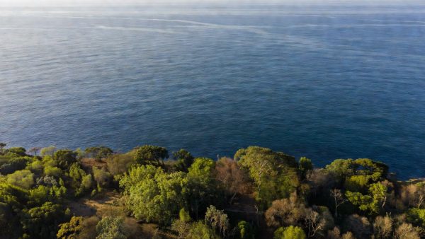 Oceans Are Warming Faster Than Ever — And Earth's Natural Carbon Sinks Are Failing