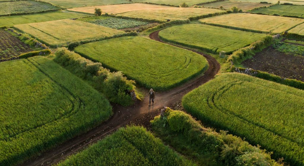 Algae Fertilisers, Farm Policy Gaps, and Trade Shifts: What's Shaping Sustainable Agriculture Right Now