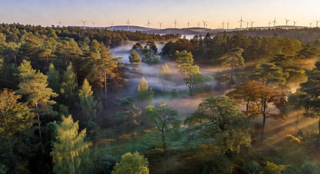 EU's 90% Climate Target for 2040: Ambition Intact, But Corporate ESG Rules Take a Hit